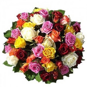 1404-Roses-Variety