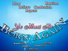 bornagain